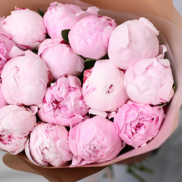 Buchet din 15 Bujori Olandezi [2]