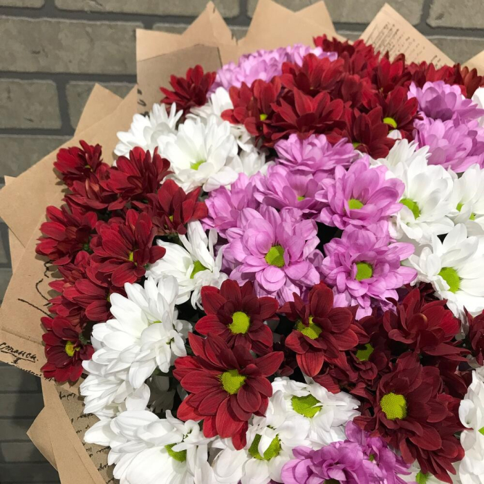 Buchet din 15 Crizanteme Albe, Roșii și Roz [4]
