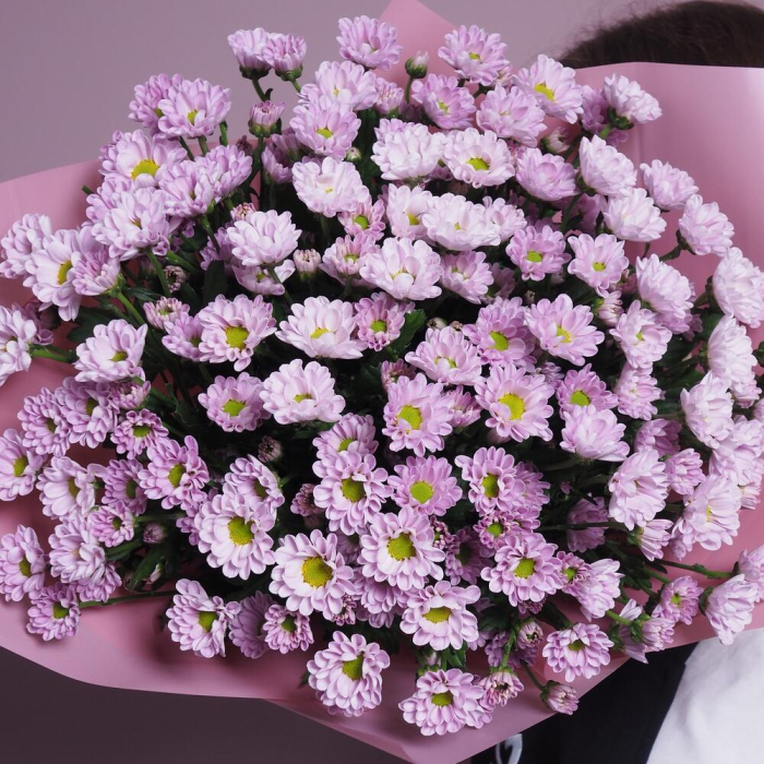 Buchet din 15 Crizanteme Santini Roz [6]