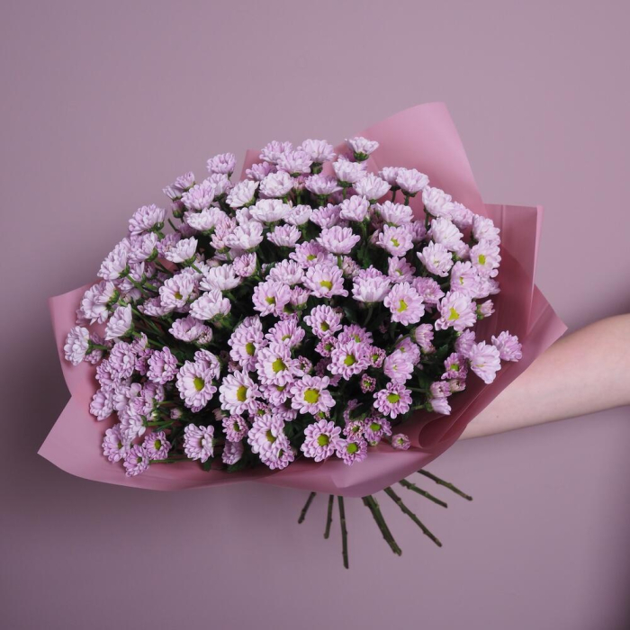 Buchet din 15 Crizanteme Santini Roz [4]