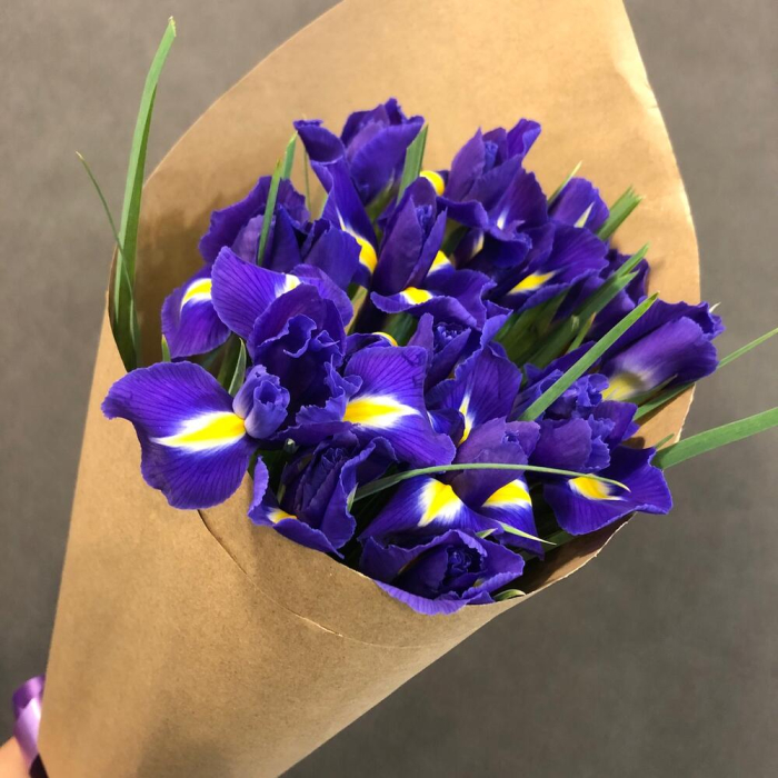 Buchet din 15 Iriși Mov [2]