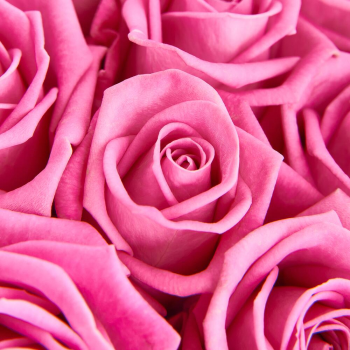 Buchet din 17 Trandafiri Roz [4]