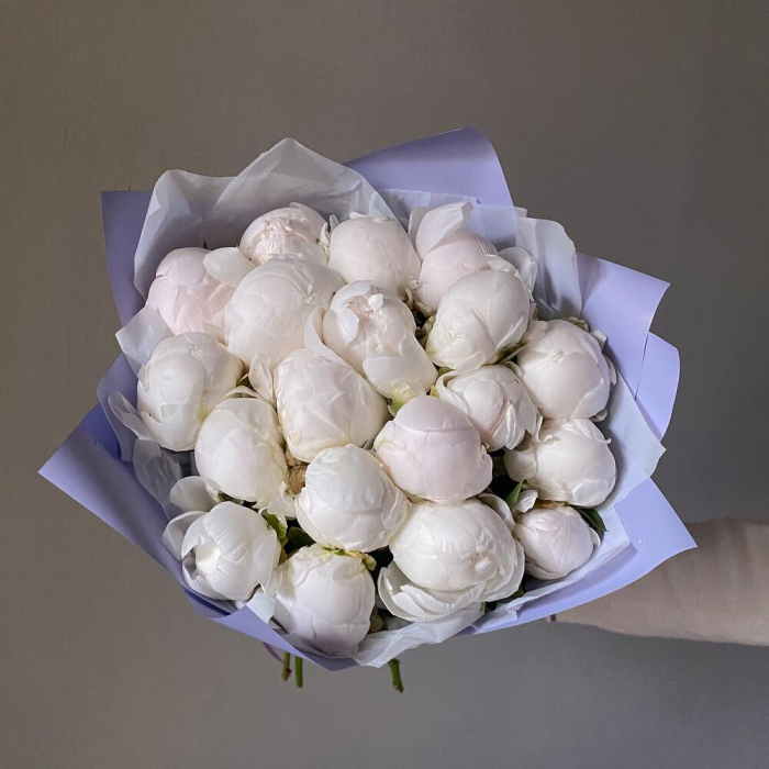 Buchet din 19 Bujori Albi [3]