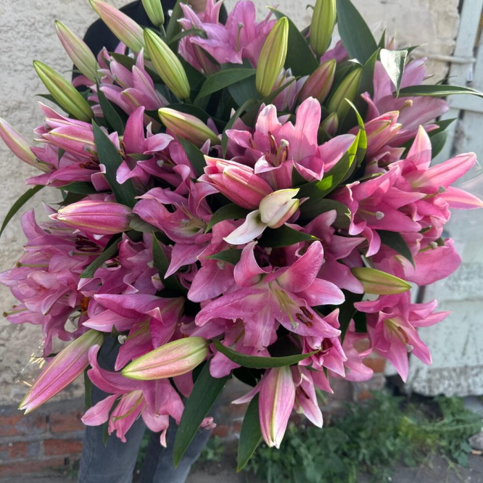 Buchet din Crini Imperiali [2]