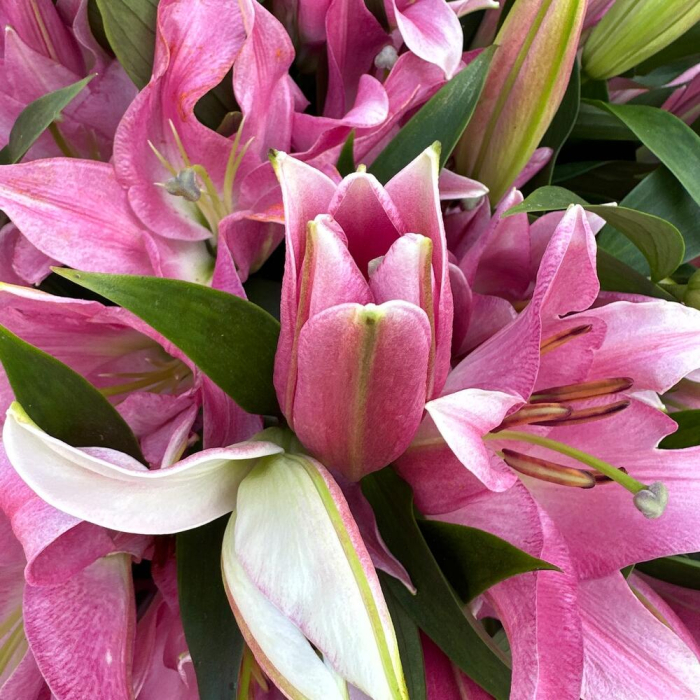 Buchet din Crini Imperiali [4]