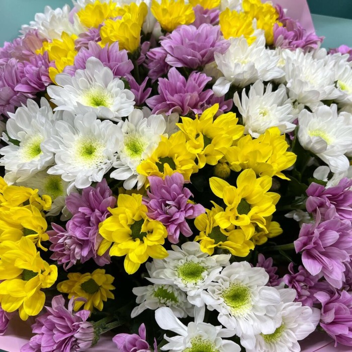 Buchet din 19 Crizanteme Asortate [4]