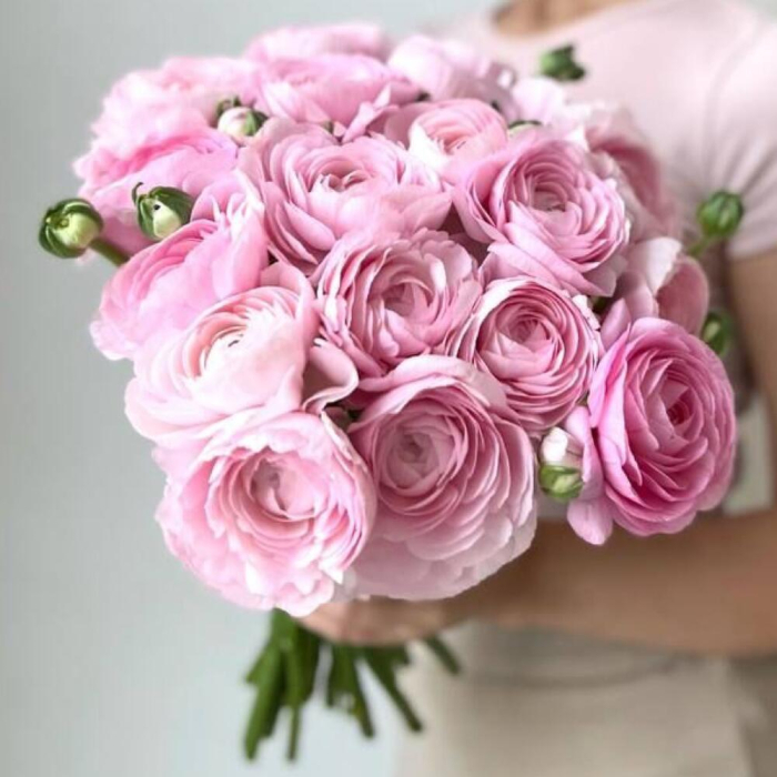 Buchet din 19 Ranunculus Roz [3]