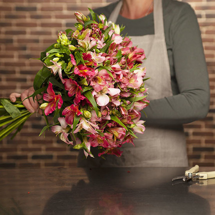 Buchet din 21 Alstroemeria [1]