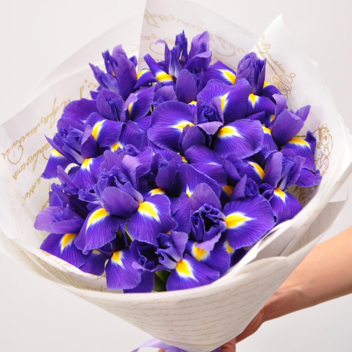 Buchet din 21 Iriși Mov [4]