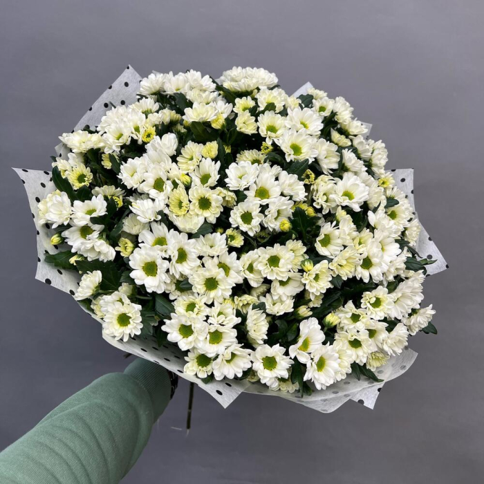 Buchet din 25 Crizanteme Santini Albe [1]