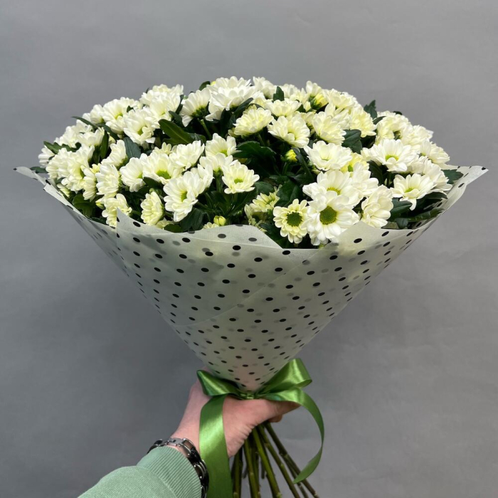Buchet din 25 Crizanteme Santini Albe [3]