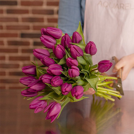 Buchet din 25 de lalele mov [1]