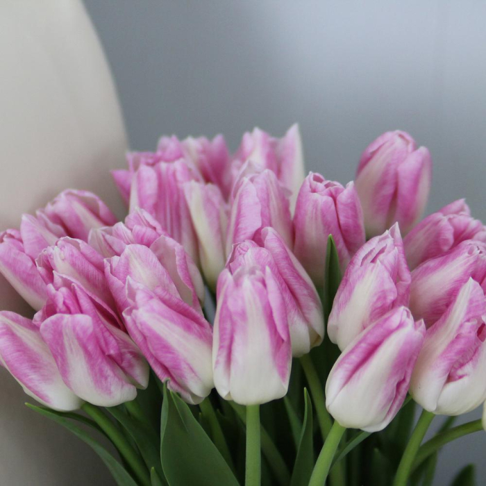 Buchet din 25 Lalele Roz Pătate [3]