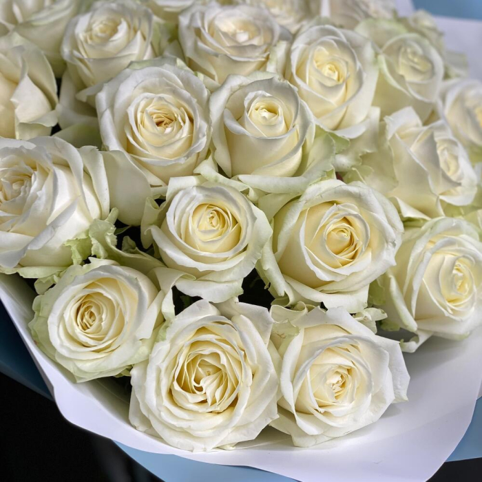 Buchet din 25 Trandafiri Albi [4]