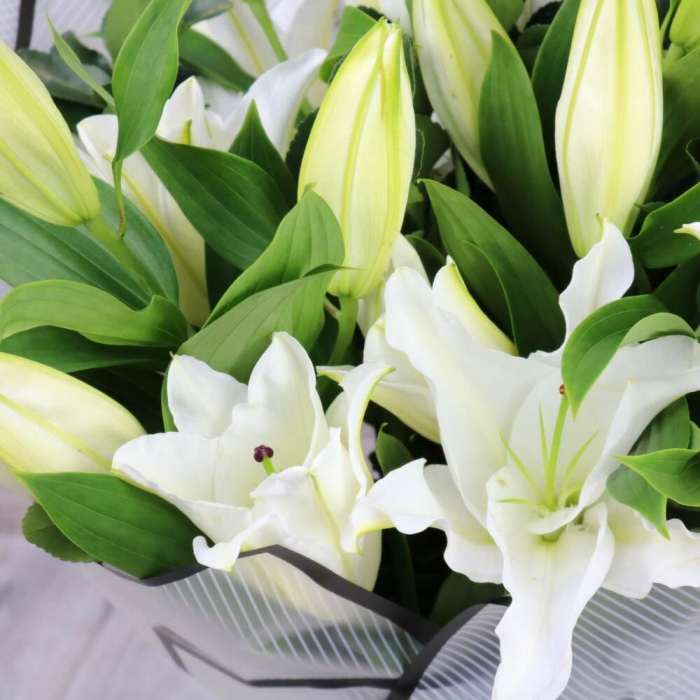 Buchet din Crini Imperiali [2]