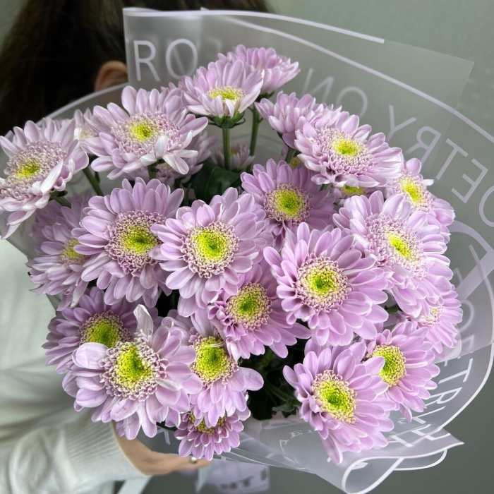 Buchet din 5 Crizanteme Lila [3]