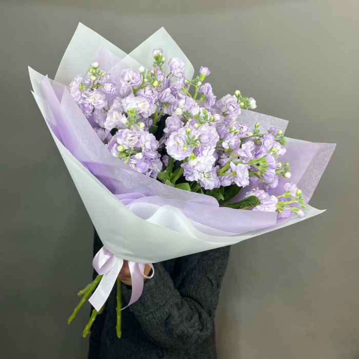 Buchet din 5 Mixandre Mov (Matthiola) [2]