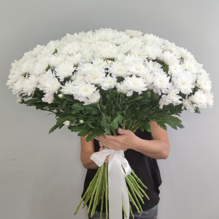 Buchet din 51 Crizanteme Albe [3]