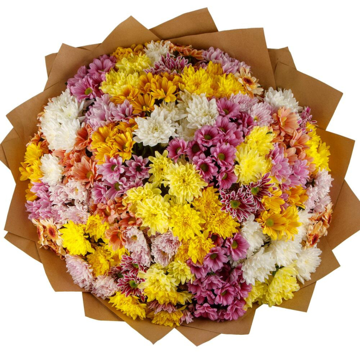 Buchet din 51 Crizanteme Multicolore [2]