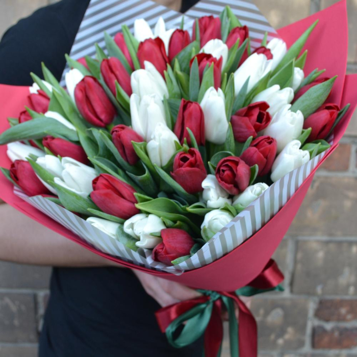 Buchet din 51 Lalele Alb-Roșii [3]