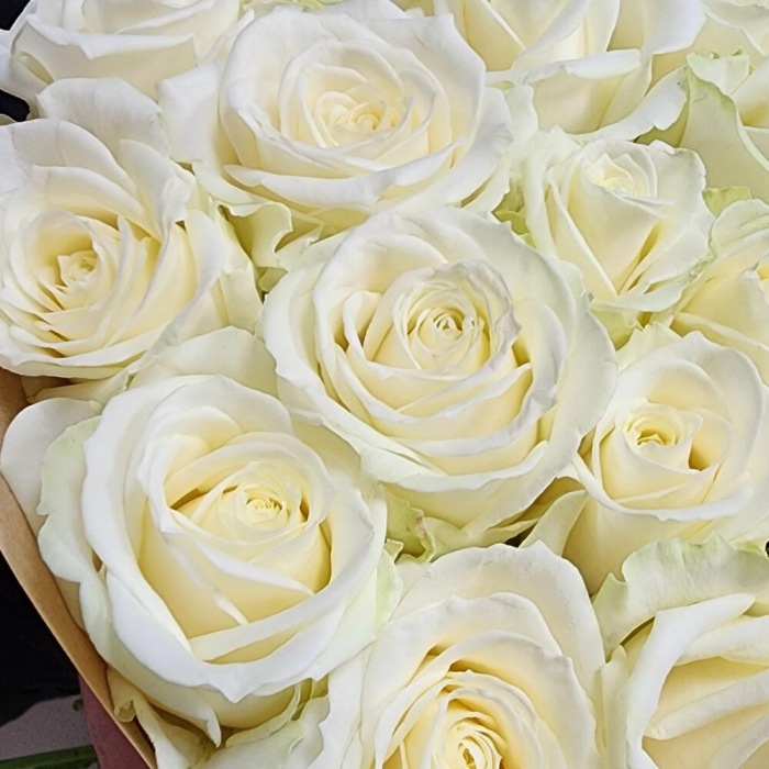 Buchet din 51 Trandafiri Albi [4]