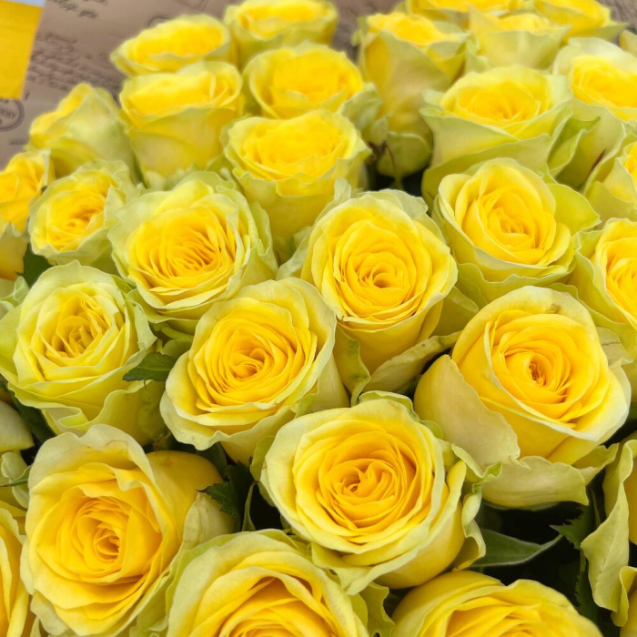 Buchet din 51 Trandafiri Galbeni [5]