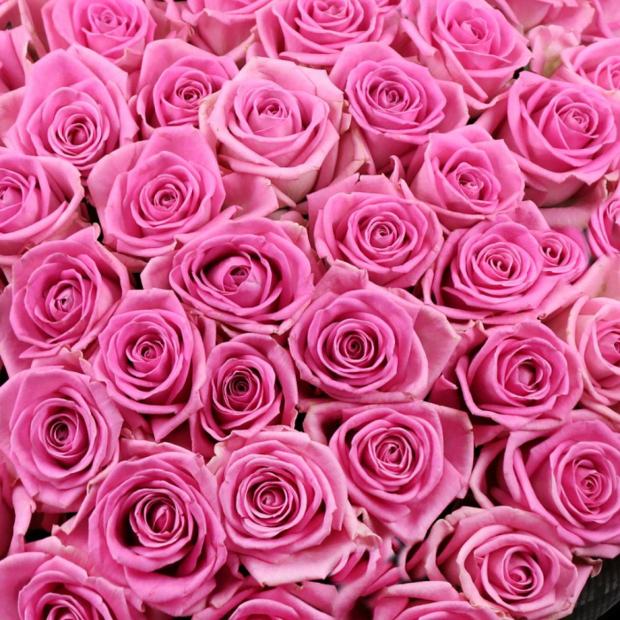 Buchet din 51 Trandafiri Roz [5]