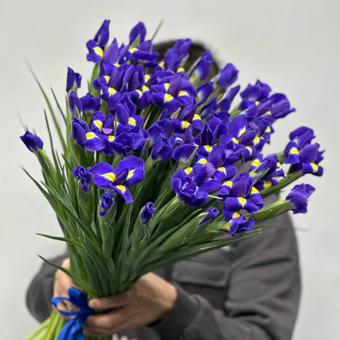 Buchet din 59 Iriși Mov [2]