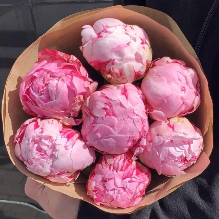 Buchet din 7 Bujori Roz în Hârtie Natur [3]