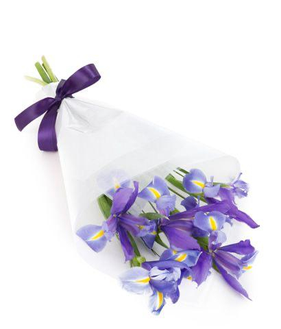 Buchet din 7 Iriși Mov de Sf. Maria [1]