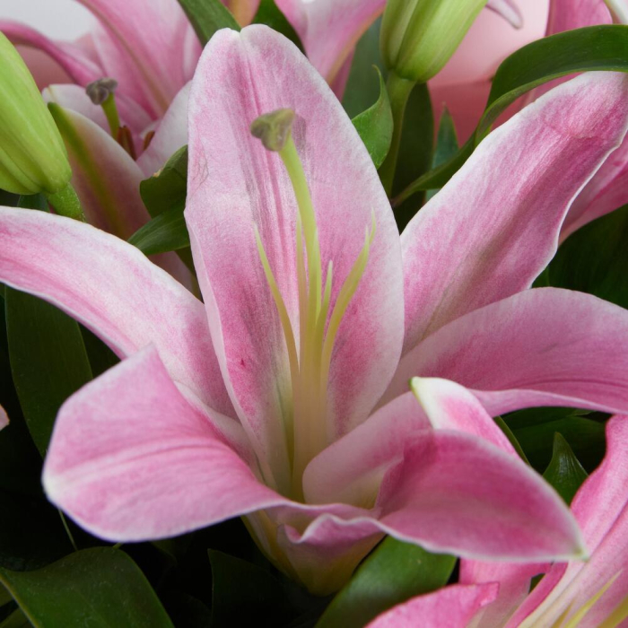 Buchet din Crini Imperiali [3]