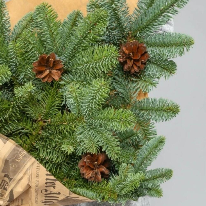 Buchet de iarnă „Winter Nobilis” cu livrare oriunde in Romania [2]