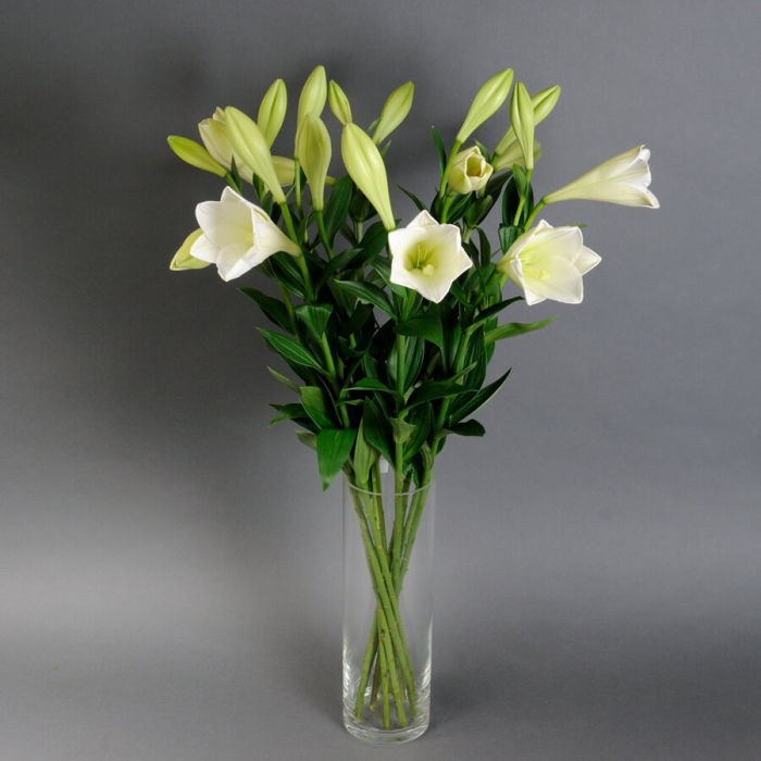 Crin într-o vază [1]