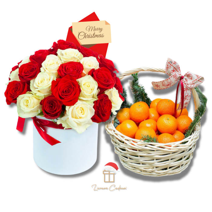 Surpriză la Domiciliu de Crăciun [1]