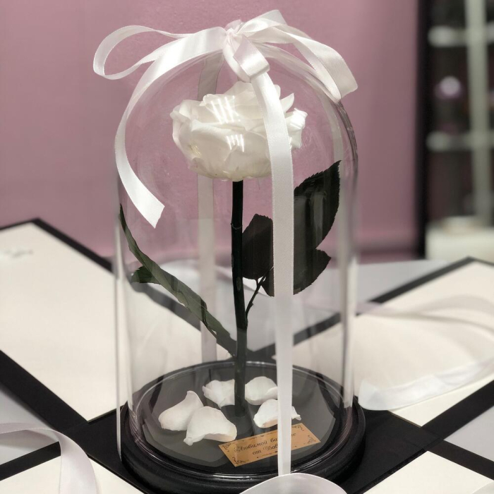 Trandafir Criogenat Alb în Cupolă de Sticlă [2]
