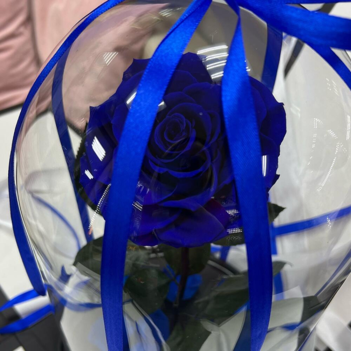 Trandafir Criogenat Albastru în Cupolă de Sticlă [2]