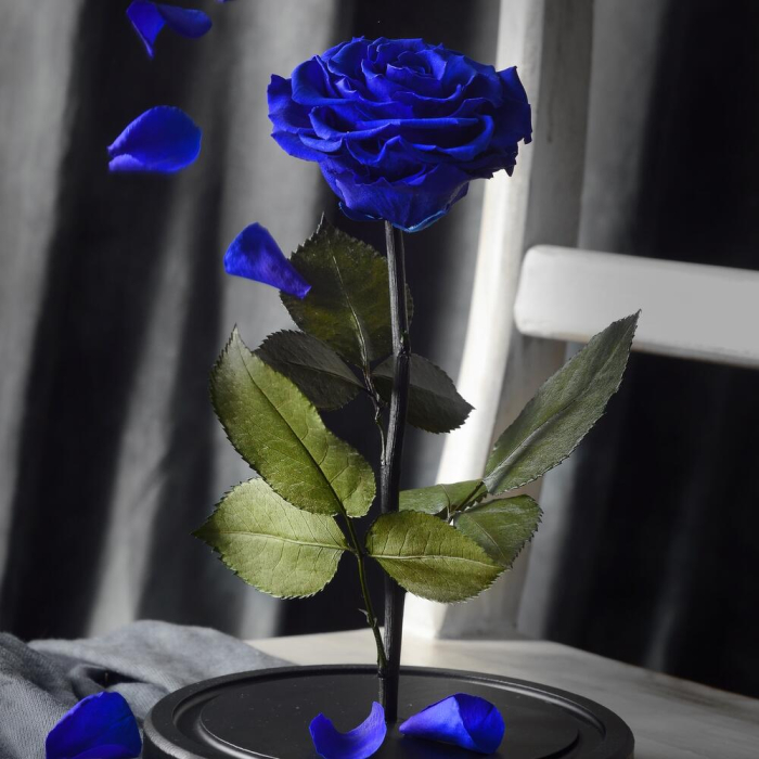 Trandafir Criogenat Albastru în Cupolă de Sticlă [5]