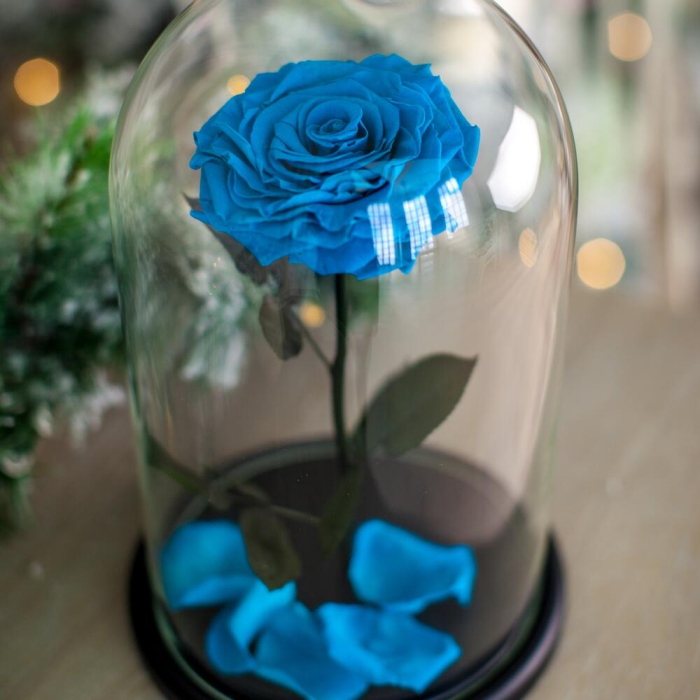 Trandafir Criogenat Bleu în Cupolă de Sticlă [5]