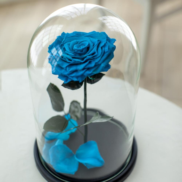 Trandafir Criogenat Bleu în Cupolă de Sticlă [4]