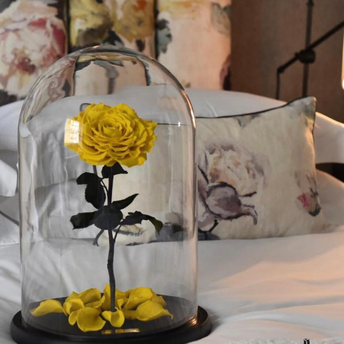Trandafir Criogenat Galben în Cupolă de Sticlă [4]
