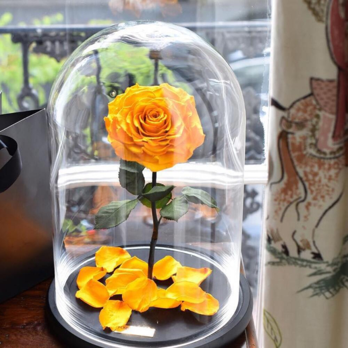 Trandafir Criogenat Galben în Cupolă de Sticlă [3]