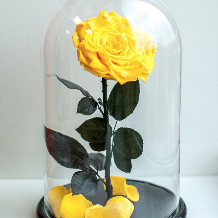 Trandafir Criogenat Galben în Cupolă de Sticlă [2]