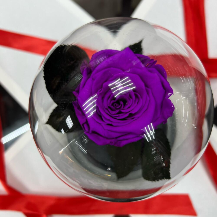 Trandafir Criogenat Mov în Cupolă de Sticlă [5]