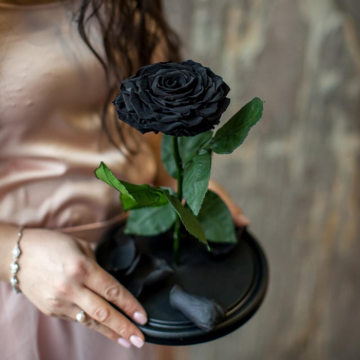Trandafir Criogenat Negru în Cupolă de Sticlă [3]