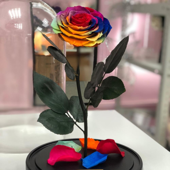 Trandafir Criogenat Rainbow în Cupolă de Sticlă [3]