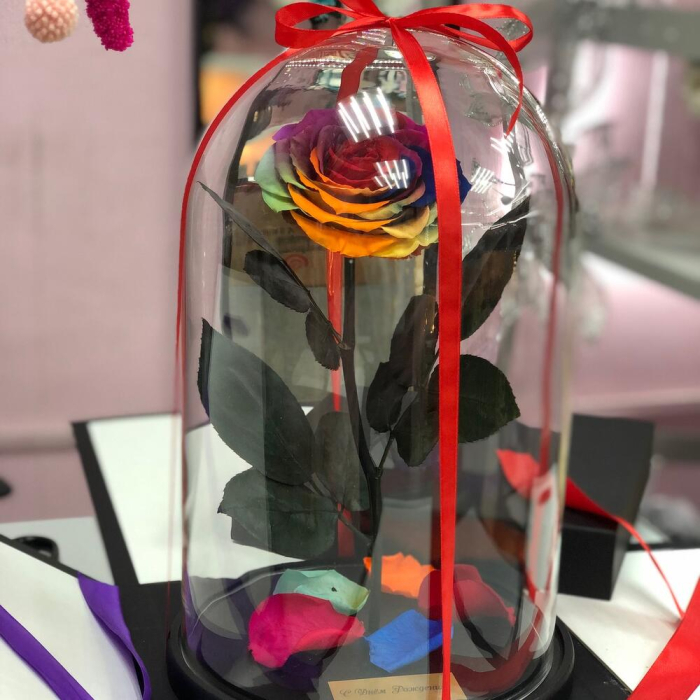 Trandafir Criogenat Rainbow în Cupolă de Sticlă [2]