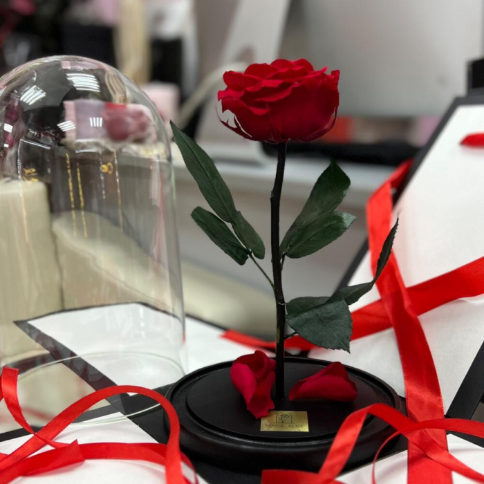 Trandafir Criogenat Roșu în Cupolă de Sticlă [3]