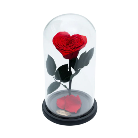 Trandafir Criogenat Roșu în Formă de Inimă [2]