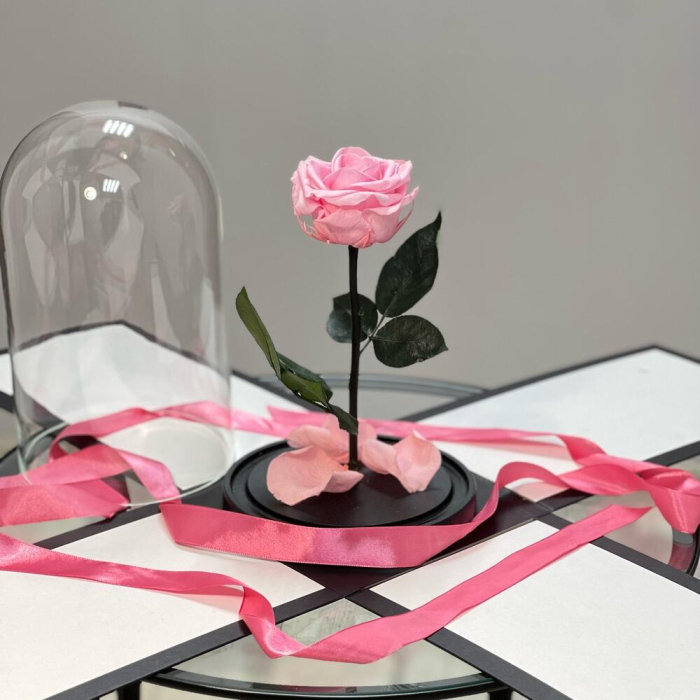 Trandafir Criogenat Roz în Cupolă de Sticlă [4]