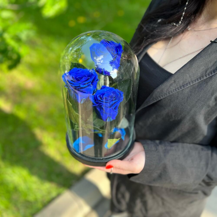 Trandafiri Criogenați Albaștri în Cupolă de Sticlă (3 tije) [4]